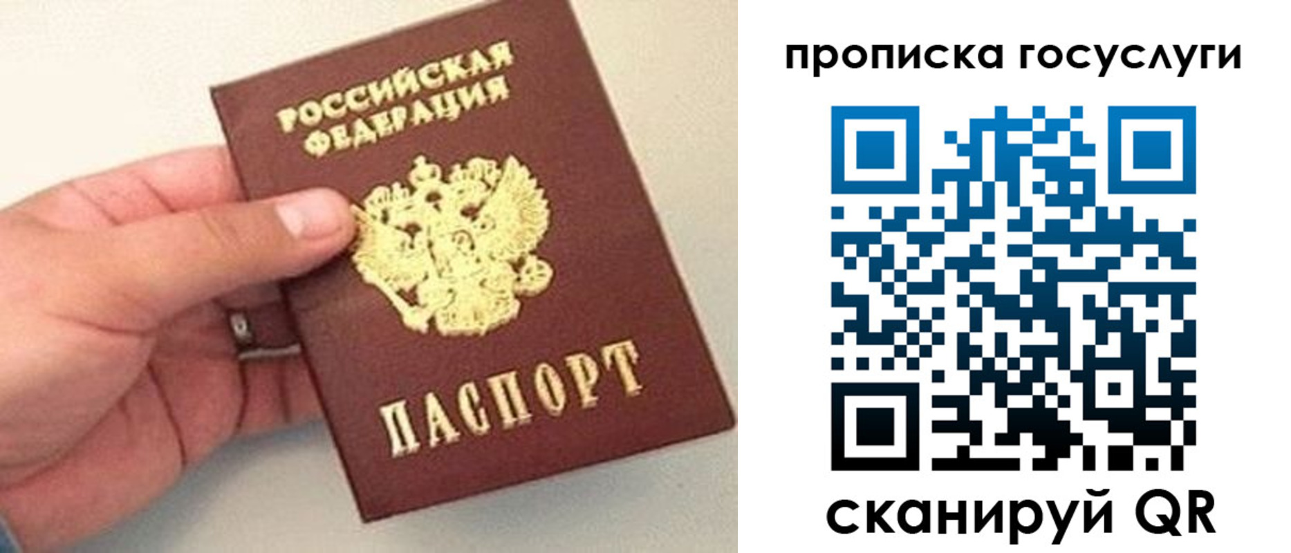 где прописаться в Черняховске